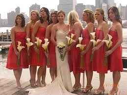 Calla Lilies?