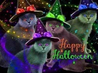 NWR Happy Halloween!