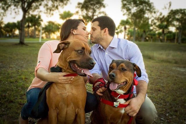 NWR: Show me your pups!