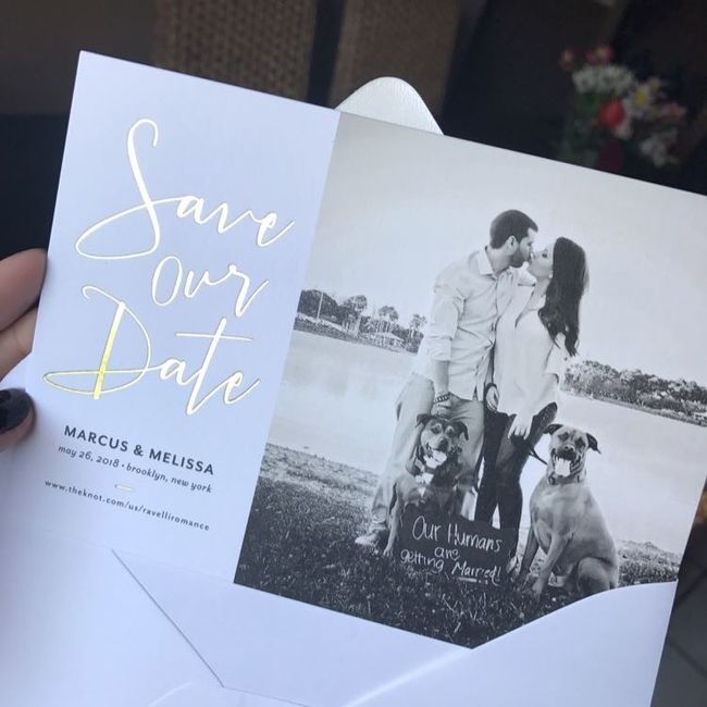 STDs/Invitations: Show them off!