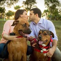 Wedding pictures with your dog?