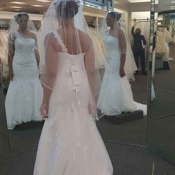 My dress came in early!