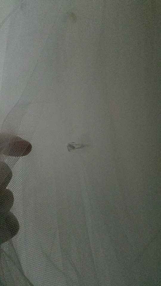 Dress alterations disaster.