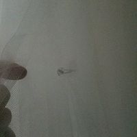 Dress alterations disaster.