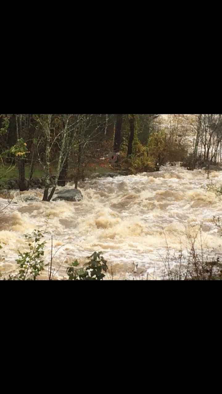 Engagement pictures CANCELED AGAIN