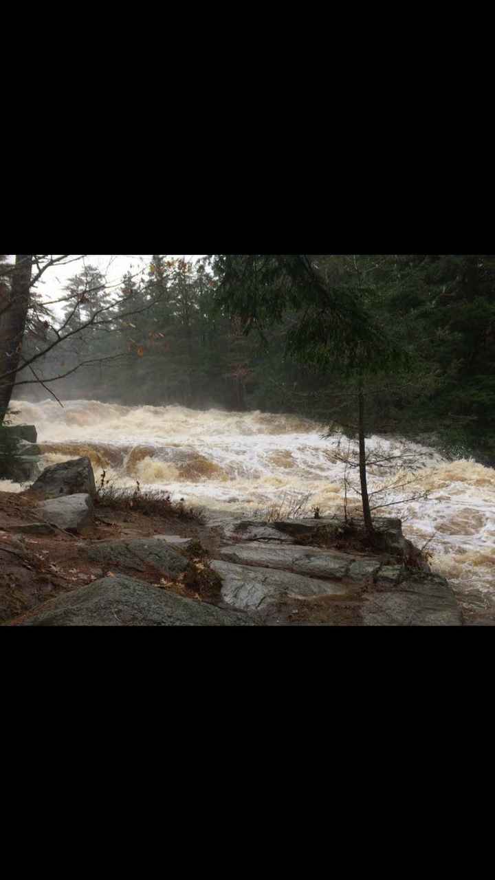 Engagement pictures CANCELED AGAIN