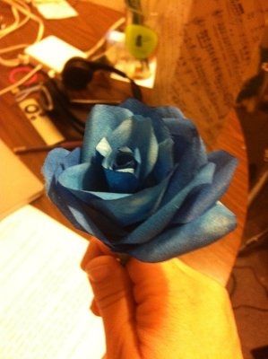 My Coffee filter roses (again) - Blanca take a look :)