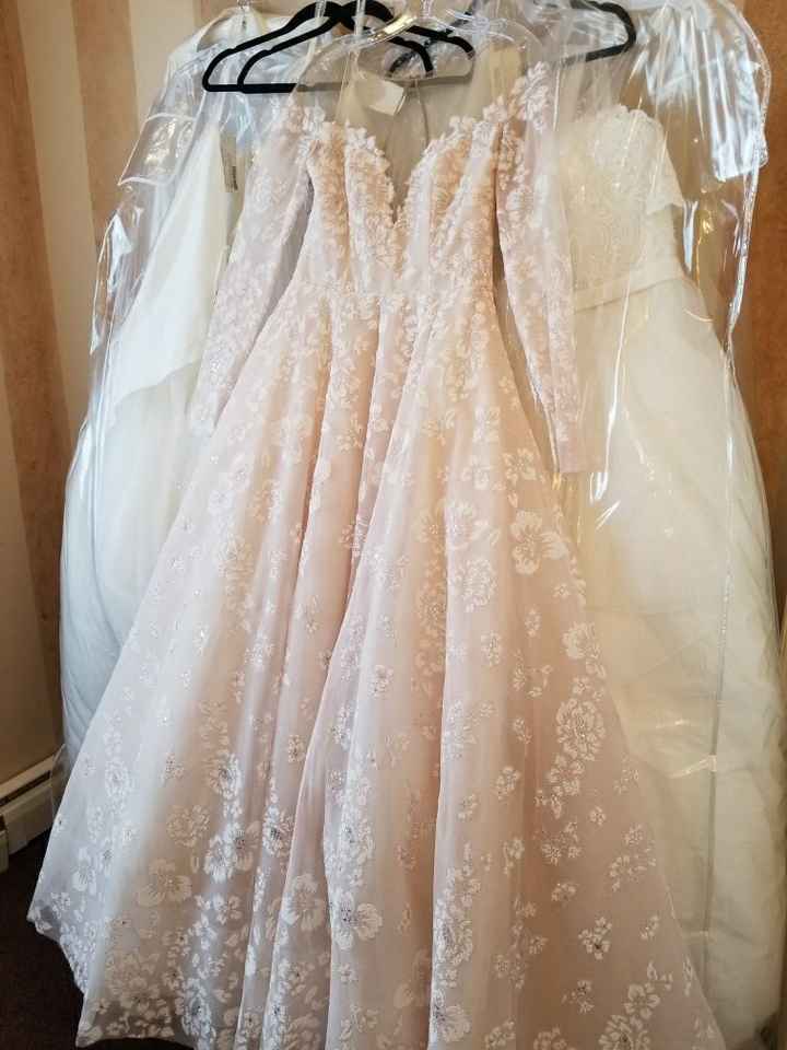  Colored wedding dress.... What color bm dresses?? - 2