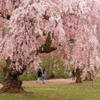 Engagement Photos: what to wear?! - 2