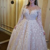  Colored wedding dress.... What color bm dresses?? - 1