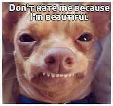 Don't hate me, just help me..