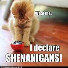 Getting married quickly