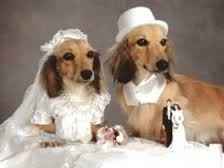 Bridal Portraits....why?