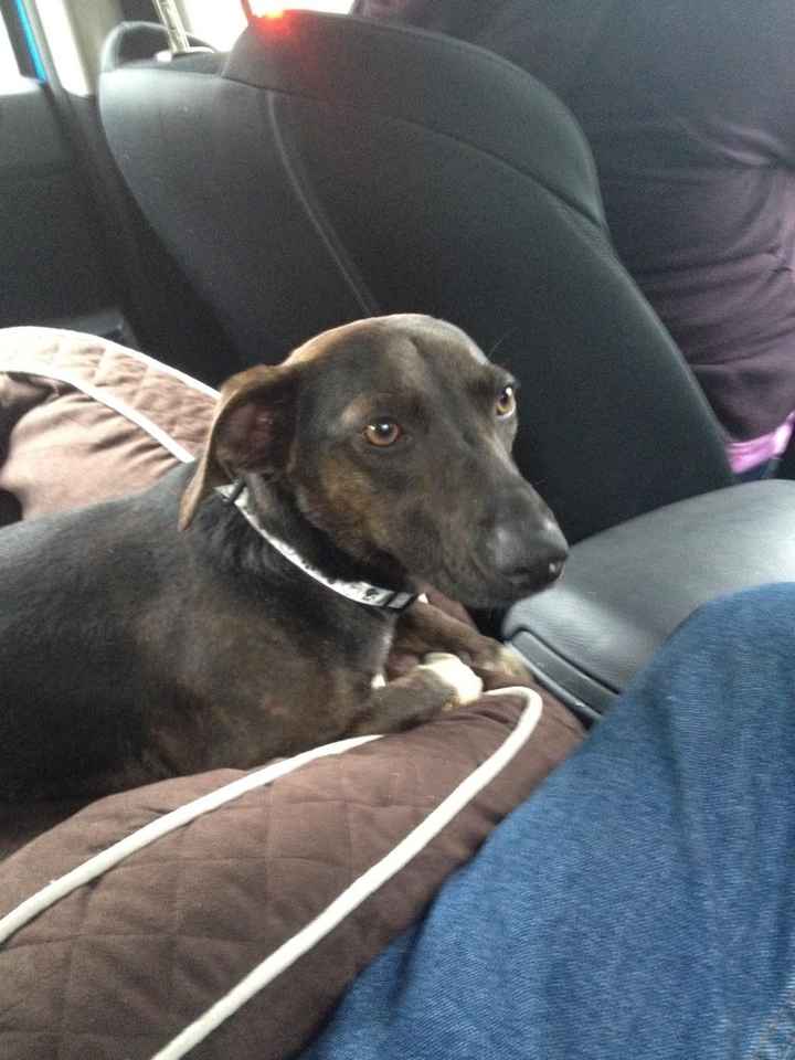 NWR just a little update....