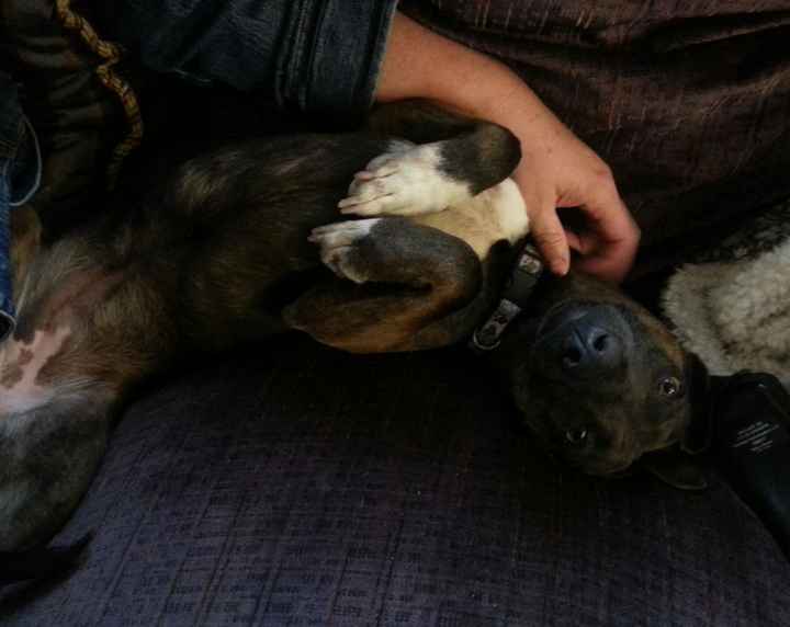 NWR Show me your furbabies