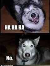 Showers/Jack and Jills