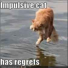 Two weddings too much??