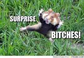 Bachelorette Party Nightmare.....