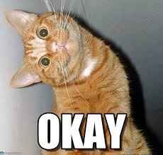 here comes the bride NOT dressed in white!