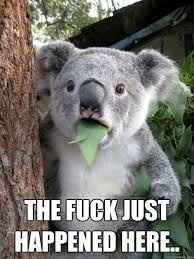 nwr Feel Good Wednesday?