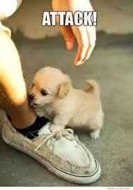 How gauche is a cash bar?