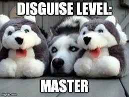 Because it's the middle of Wednesday ... MEME