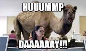 nwr Feel Good Wednesday?