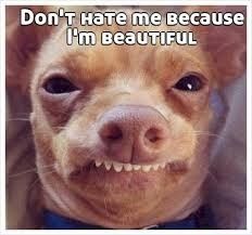 Don't hate me, just help me..