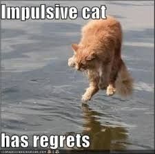 Two weddings too much??