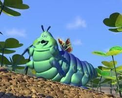 Winging It With Budget and Butterflies