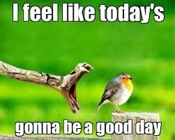 Feel Good Friday!
