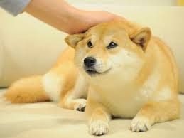 Bridezilla, Reformed!