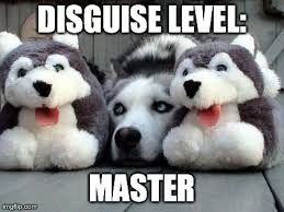 Because it's the middle of Wednesday ... MEME