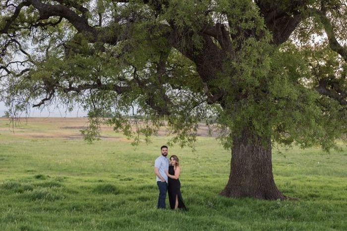 Engagement pics are in!!