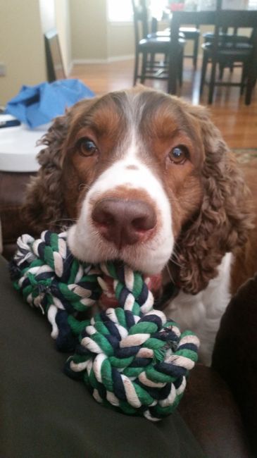 NWR: Bored? Show off your pets!
