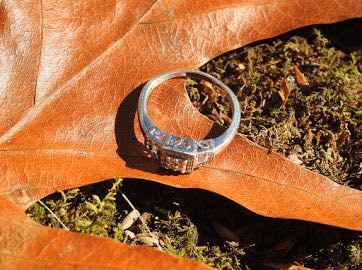 Engagement photos! - 6