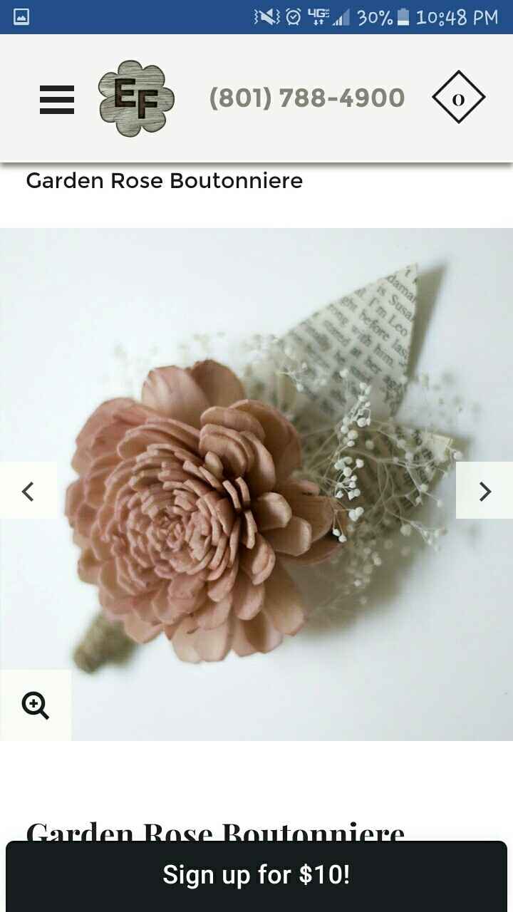 EcoFlower