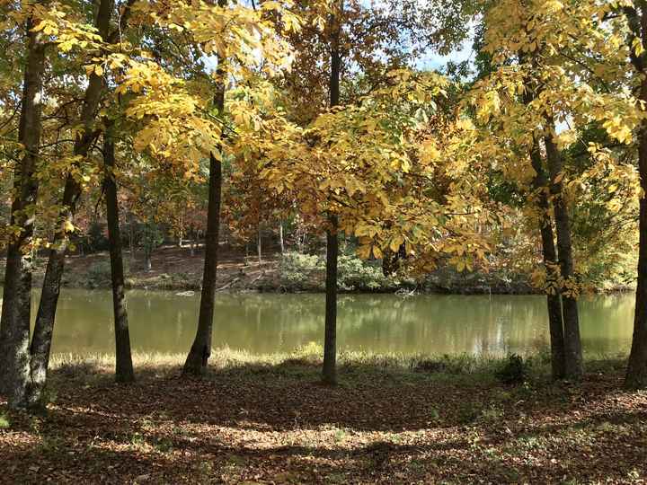 An enchanted day for an enchanted wedding 10/24/20 - 5