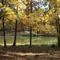 An enchanted day for an enchanted wedding 10/24/20 - 5