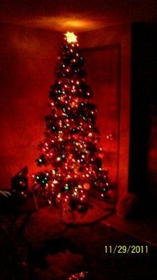 NWR - Lets See your Christmas Trees!!!!!
