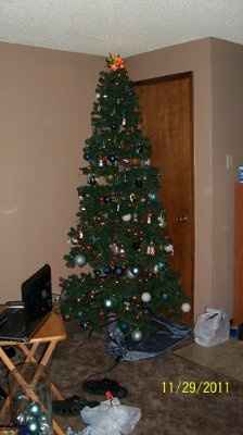 NWR - Lets See your Christmas Trees!!!!!
