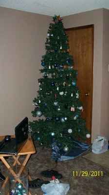 NWR - Lets See your Christmas Trees!!!!!