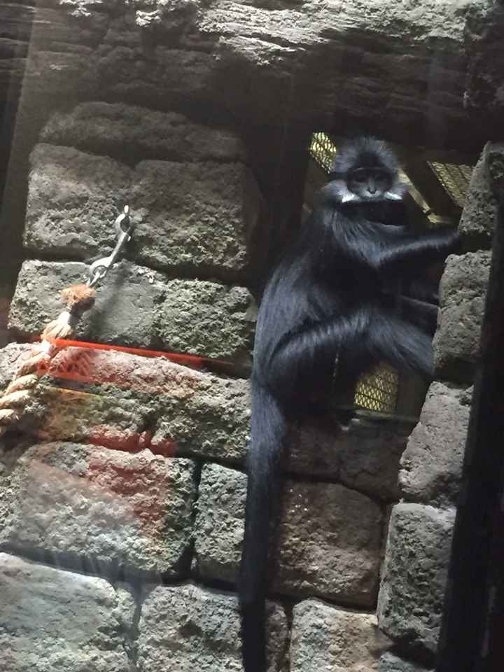 Show Me... Cheering Up!