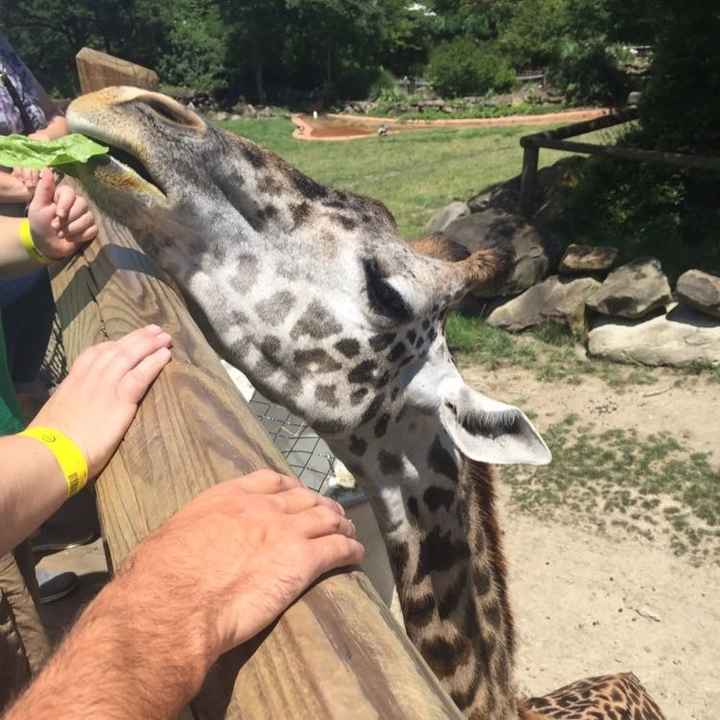 Show Me... Cheering Up!