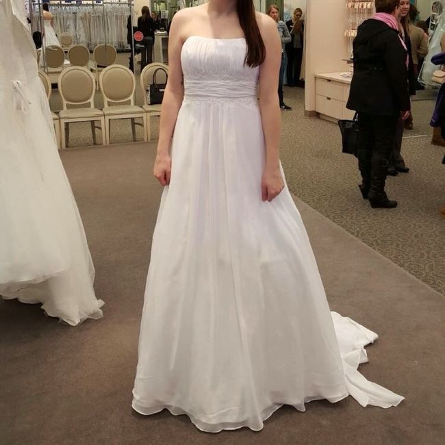 I found my dream dress!