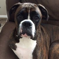 Need some positivity: Sick for the Wedding?