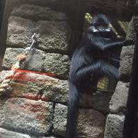 Show Me... Cheering Up!