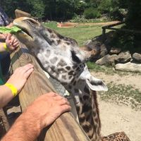 Show Me... Cheering Up!