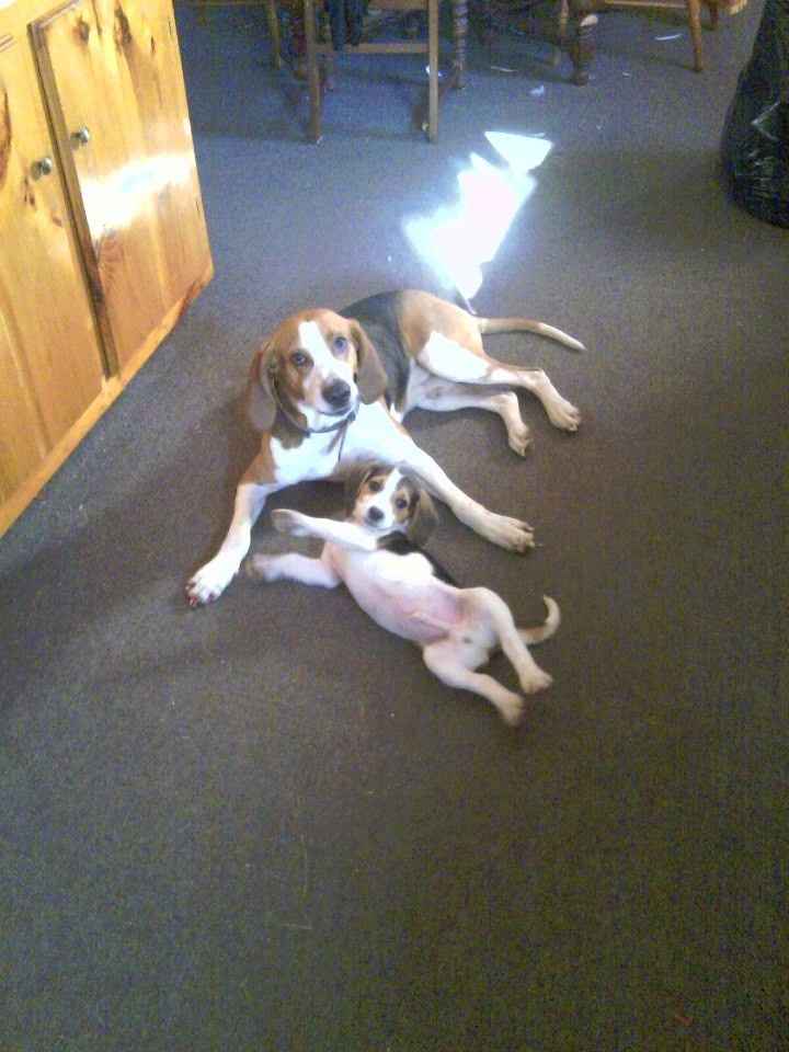 Its Fursday! Show me your furbabies! :)