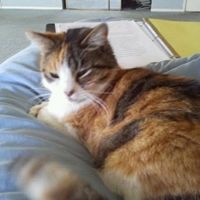 NWR: Lets see our pets!!